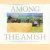 Among the Amish door Keith Bowen
