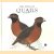The atlas of Quails door David Alderton