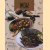 Wok, kleurrijke, pittige, en snelle roerbak-, frituur- en smoorgerechten door Lia Pot