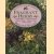 Fragrant herbs: Aromatic Herbs, Vinegars & Preserves, Sachets & Pillows, Potions & Tonics, Herbal Candles door Malcolm Hillier
