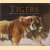 Tigers: artists for nature in India
Nicholas Hammond
€ 15,00