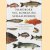 Handboek vis, schelp- en schaaldieren: vademecum met beschrijvingen, kooktechnieken en bereidingswijze van ruim 400 soorten door John van de Ven