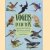 Vogels in uw tuin: maak van uw tuin een vogelparadijs door Mike Everett