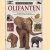 Ooggetuigen: Olifanten. Ontdek de fascuinerende wereld van de olifanten - hun geschiedenis, hun gedrag, en hoe de mens hun leven heeft veranderd door Ian Redmond