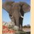 De olifant in de natuur- en de cultuurgeschiedenis door Martin Saller