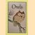 Owls door Lynn Hughes