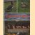 Sierwatervogels door R.R.P van der Mark