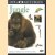 Ooggetuigen: Jungle. Bekijk de wereld als nooit tevoren (DVD) door diverse auteurs