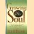 Growing your soul. Practical steps to increase your spirituality door Neil B. Wiseman