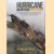 Hurricane R4118 Revisited. The Extraordinary Story of the Discovery and Restoration to Flight of a Battle of Britain Survivor: The Adventure Continues 2005-2017 door Peter Vacher