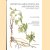 Ceropegia, Brachystelma and Riocreuxia in southern Africa
R. Allen Ddyer
€ 100,00