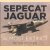 Sepecat Jaguar. Almost Extinct door Peter Foster