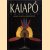 Kaiapó amazonie. De kunst van de lichaamsornamentiek
Gustaaf Verswijver
€ 20,00