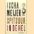 Spitsuur in de hel door Ischa Meijer