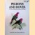 Pigeons and Doves. A Guide to the Pigeons and Doves of the World door David Gibbs e.a.