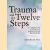 Trauma and the Twelve Steps: A Complete Guide For Enhancing Recovery door Jamie Marich