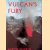 Vulcan's Fury. Man against the volcano door Alwyn Scarth
