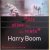 Harry Boom 1945-1995:  "Als alles kan kan niets" / Harry Boom 1945-1995: "If anything is possible nothing is"
Stichting Harry Boom
€ 25,00