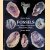 Fossils: The Oldest Treasures That Ever Lived door Rudolf Daber e.a.