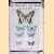 Our butterflies and moths and how to know them door E. Fitch Daglish
