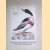 Nederlandsche vogelen 1770-1829. Zestien reproducties in kleur, naar de fraaiste voorbeelden door Christiaan Sepp e.a.