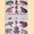 The Book of Frogs: A life-size guide to six hundred species from around the world door Tim Halliday