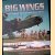 Big Wings: The Largest Airplanes Ever Built door Philip Kaplan