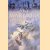 Sky Warriors: Classic Air War Battles door Alfred Price