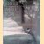 Harmony of Reflected Light: The Photographs of Arthur Wesley Dow door James L. Enyeart