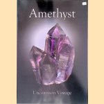 Amethyst: Uncommon Vintage
Reinhard - and others Balzer
€ 30,00 Amethyst: Uncommon Vintage
Reinhard - and others Balzer
€ 30,00
