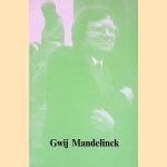 Gwij Mandelinck: visuele bezetenheid
Rudolf van de Perre
€ 8,00 Gwij Mandelinck: visuele bezetenheid
Rudolf van de Perre
€ 8,00