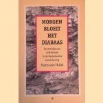 Morgen bloeit het diabaas: De Antilliaanse volksklasse in de Nederlandse samenleving
Hans van Hulst
€ 10,00 Morgen bloeit het diabaas: De Antilliaanse volksklasse in de Nederlandse samenleving
Hans van Hulst
€ 10,00