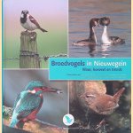 Broedvogels in Nieuwegein: waar, hoeveel en trends
Gerrie Abel
€ 8,00 Broedvogels in Nieuwegein: waar, hoeveel en trends
Gerrie Abel
€ 8,00