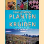Geneeskrachtige Planten & Kruiden
Ute Künkele e.a.
€ 15,00 Geneeskrachtige Planten & Kruiden
Ute Künkele e.a.
€ 15,00