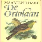 De Ortolaan door Maarten 't Hart