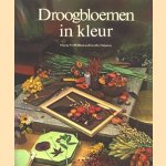 Droogbloemen in kleur door Moyna McWilliam e.a.