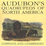 Quadrupeds of North America. Complete and unabridged
Audobon
€ 65,00