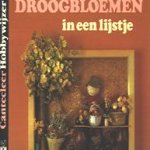 Droogbloemen in een lijstje door Monoka Fisher