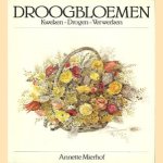 Droogbloemen. Kweken, drogen, verwerken door Annette Mierhof