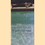 De goddeloze Amor door Hans-Ulrich Treichel