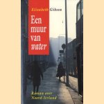 Een muur van water, roman over Noord-Ierland door Elizabeth Gibson