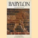 Babylon. Kunstschatten uit Mesopotamië
Dr. M.V. Seton-Williams
€ 8,00