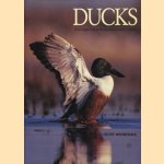 Ducks. An in-depth look at the fascinating world of ducks
Scott Weidensaul
€ 25,00