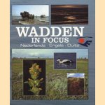 Wadden in focus: Nederlands, Engels, Duits door Jan Vermeer