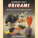 Werken met origami: de kunst van het papiervouwen
Zülal Aytüre-Scheele
€ 8,00