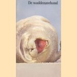 De waddenzeehond
Noortje van Leeuwen-Seelt e.a.
€ 5,00