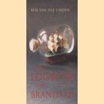 Het logboek van Brandaan door Rob van der Linden