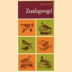 Zondagsvogel door Bert Garthoff