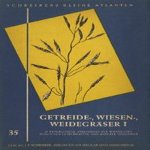 Schreibers Kleine Atlanten: Getreide-, Wiesen-, Weidegräser (twee delen samen)
Dr. Hanns Kreutz
€ 15,00