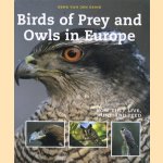 Birds of Prey and Owls in Europe. How they live, hunt and feed door Henk van den Brink